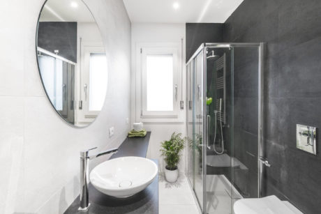 Modern bathroom with minimalist design, large mirror, glass shower enclosure, and potted plant.