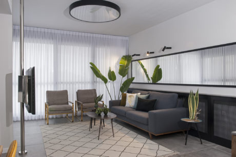Contemporary living room with geometric rug, grey sofa, and indoor plants.
