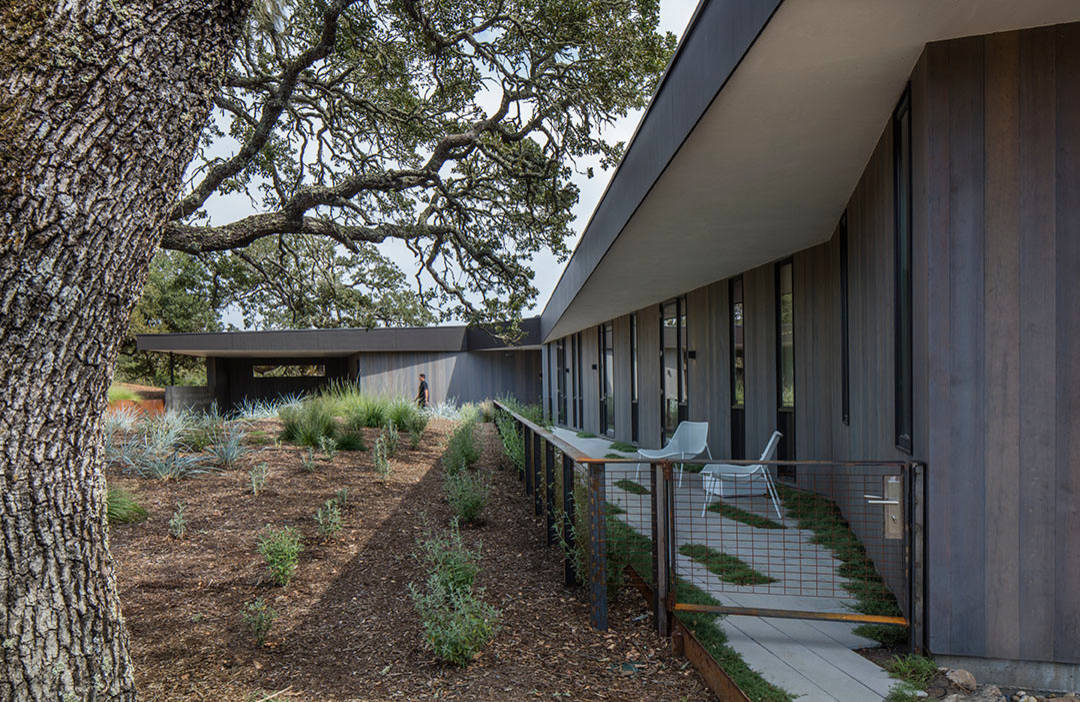 Sonoma Lichen House by Schwartz and Architecture