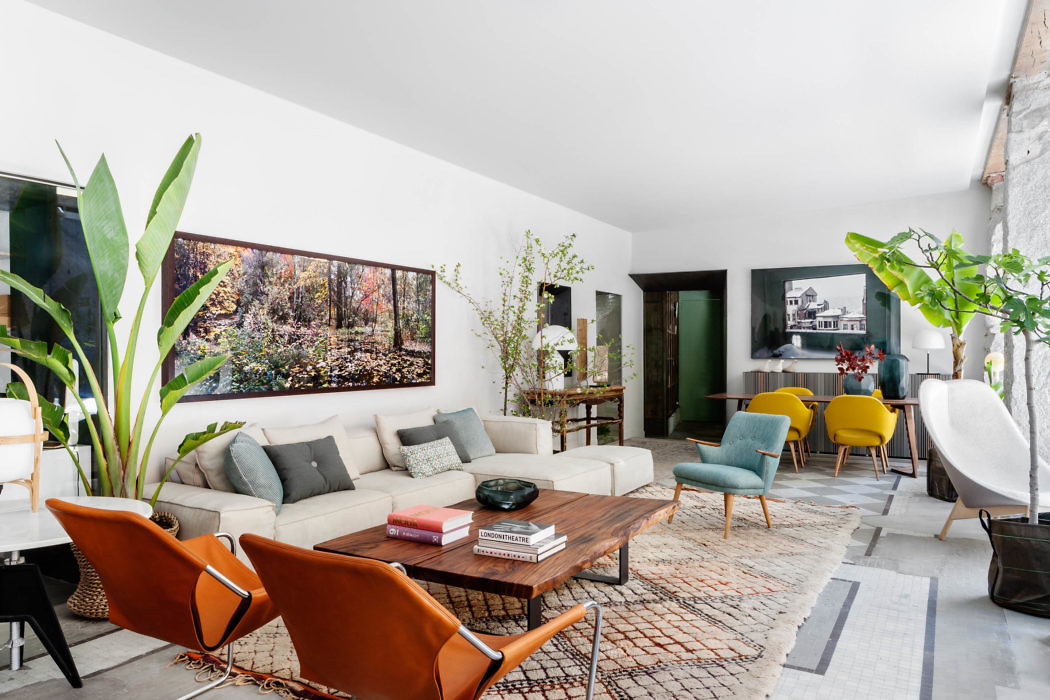 Stylish living space with eclectic furnishings and indoor plants.
