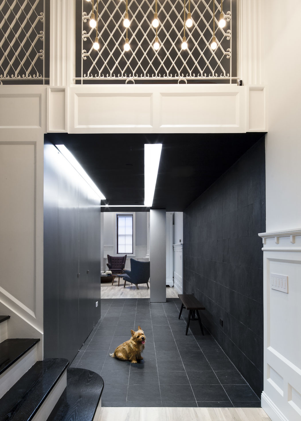 Modern hallway with contrasting walls and a dog sitting on the floor.