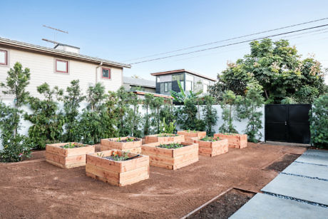Raised garden beds in a backyard with a fence and houses.