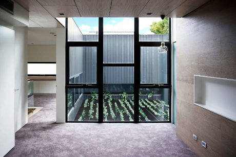 Modern room interior with large windows overlooking a green area.