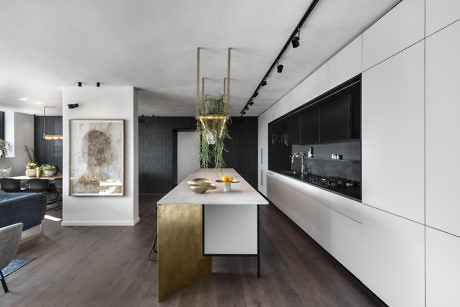Contemporary kitchen with sleek black and white design, gold island, and hanging plant