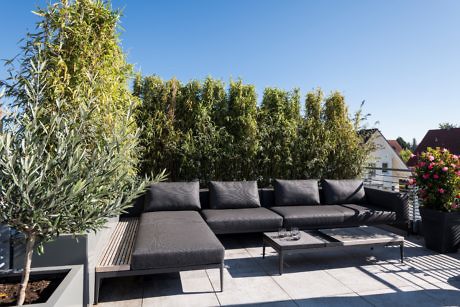 Modern outdoor terrace with black sofa, plants, and clear sky.