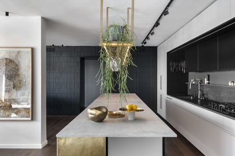 Modern kitchen with black cabinets, hanging plant, and a marble island.