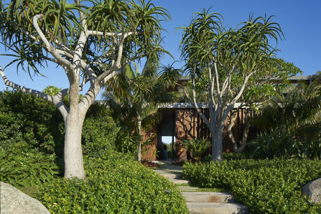 Tropical garden pathway leading to a modern villa with large trees.