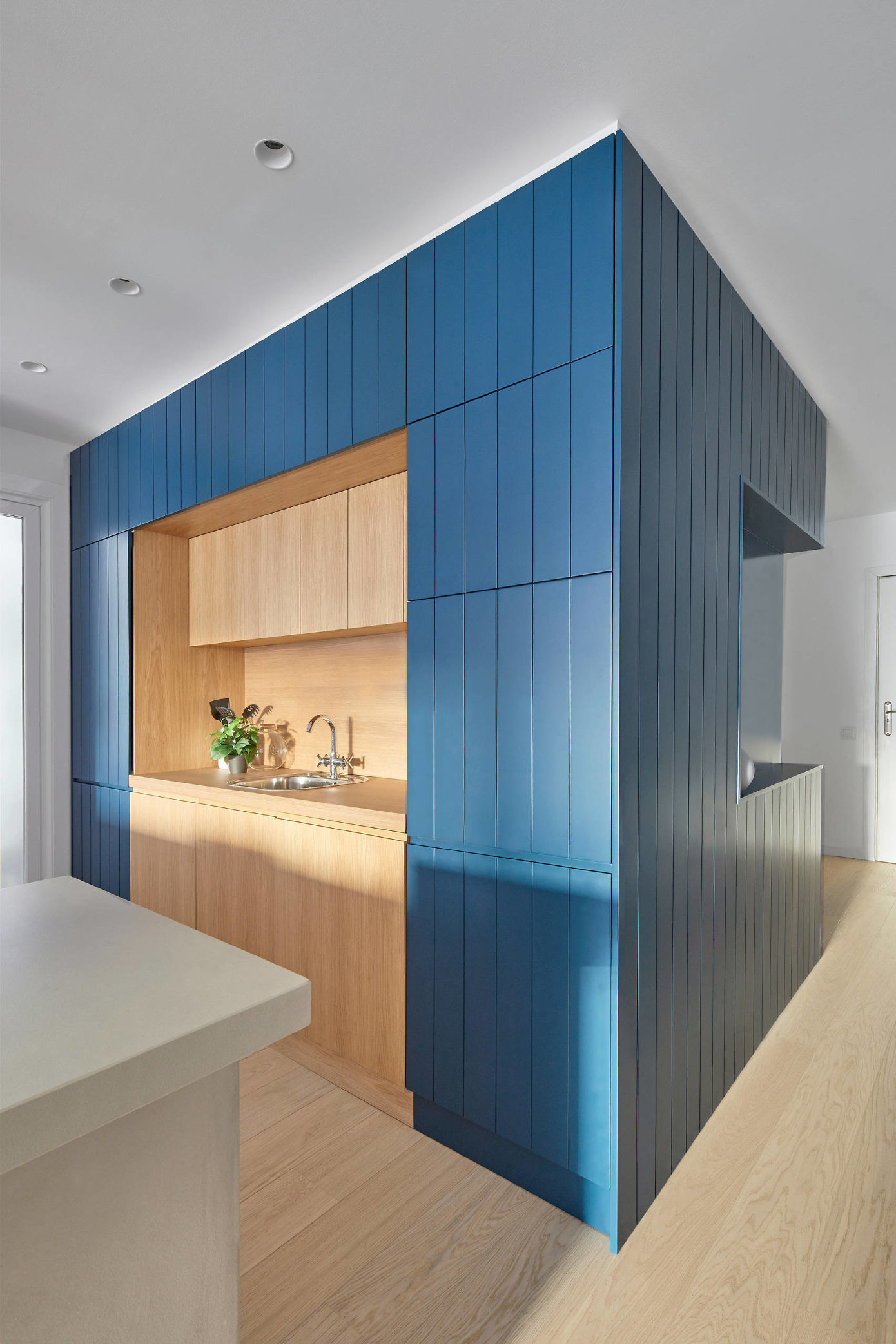 Apartment in Barcelona by Estudio Miriam Barrio