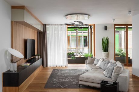 Elegant living room with wooden accents and plush sofa.