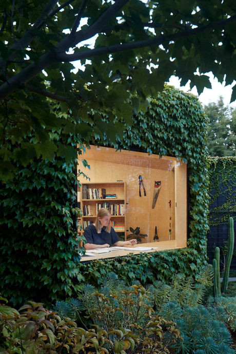Contemporary garden shed with ivy exterior and a person inside working at a desk