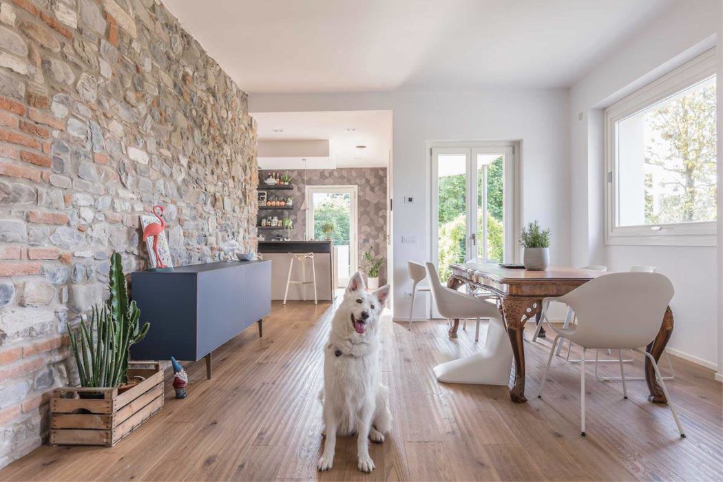 Modern dining room with a stone wall and a white dog in the foreground.