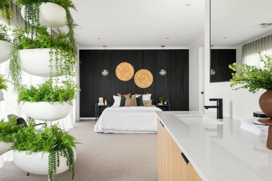 Contemporary bedroom with hanging plants and dark accent wall.