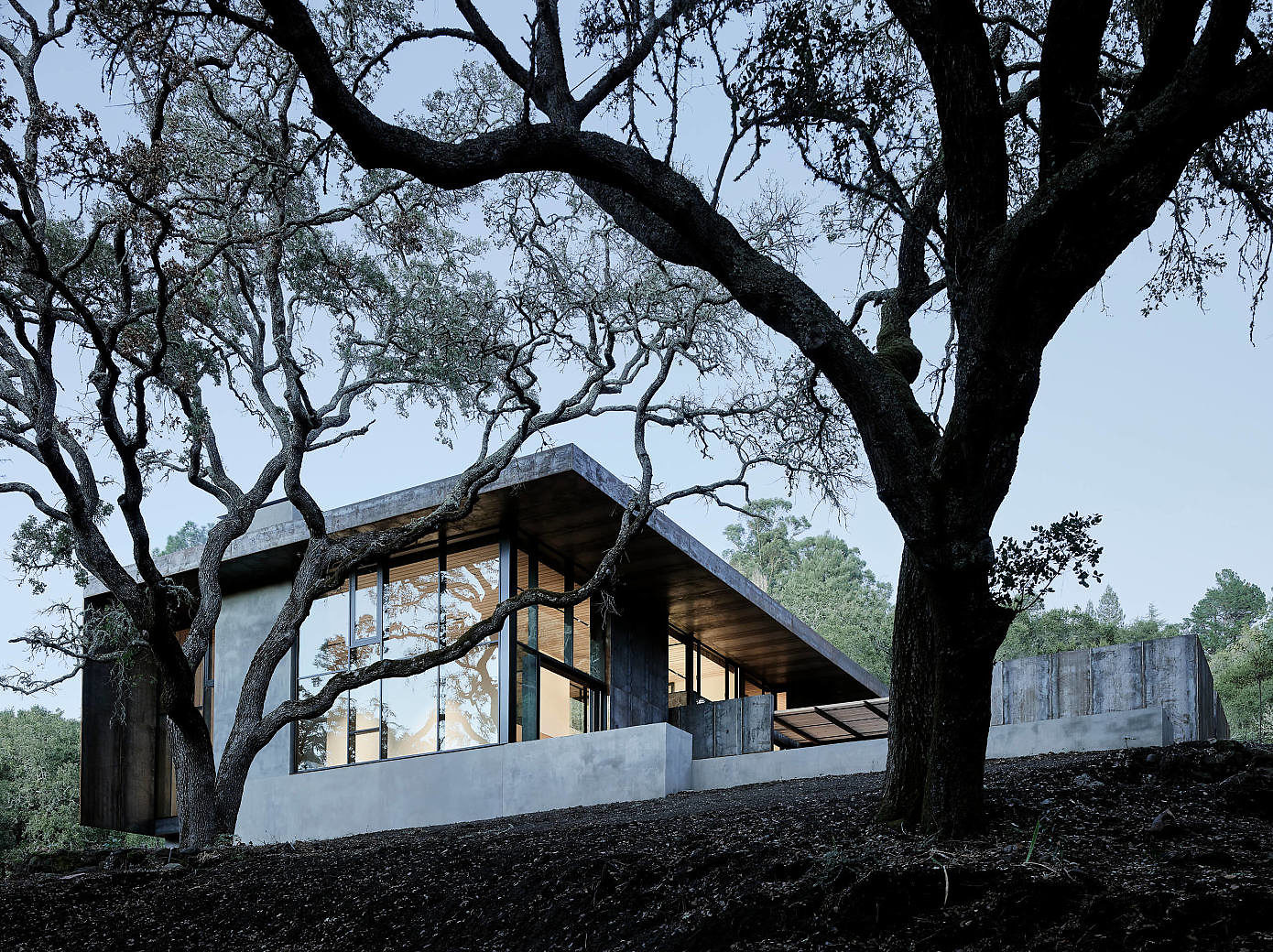 Treeside Residence by Faulkner Architects