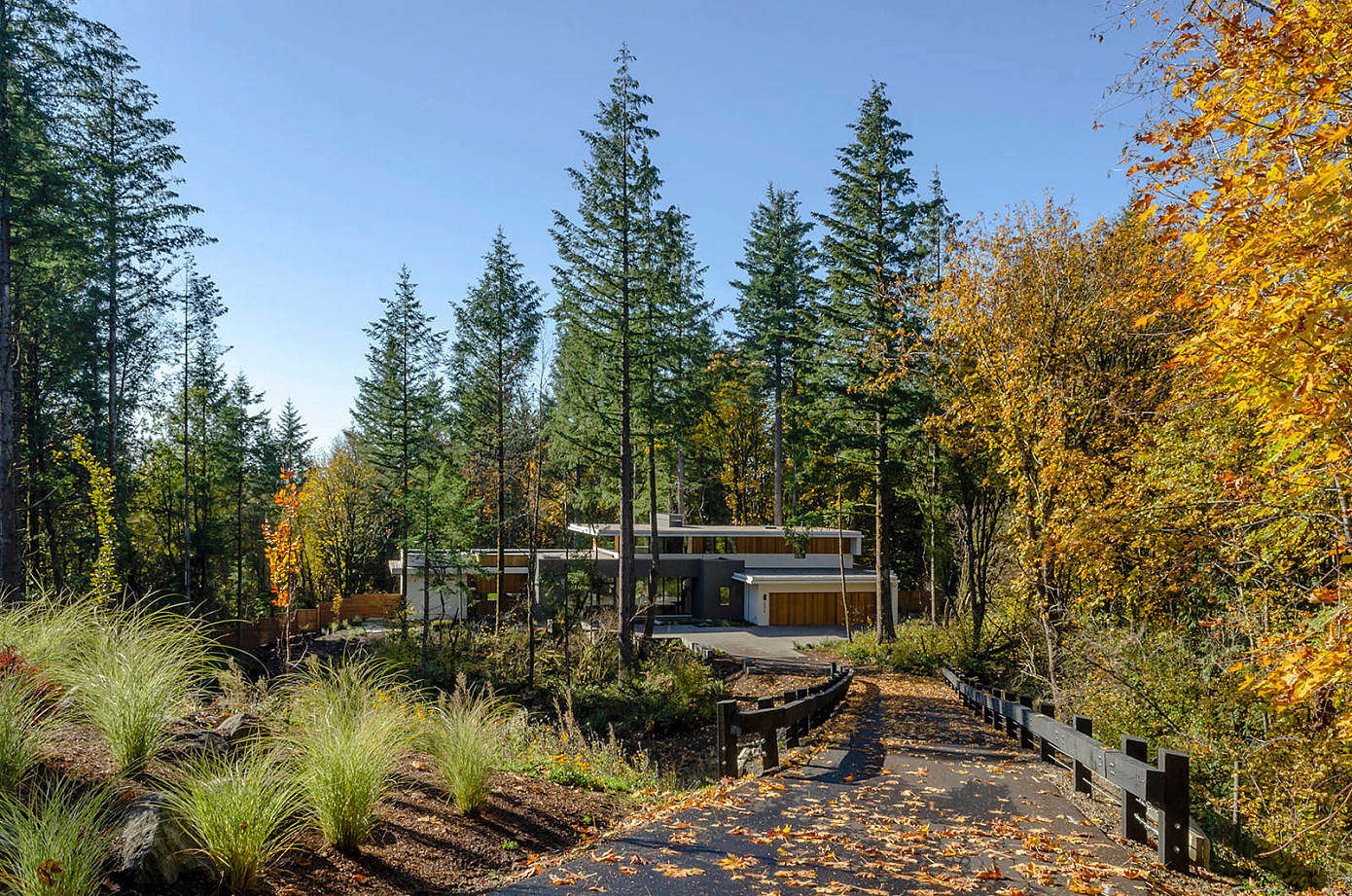 Wildwood by Giulietti Schouten Architects