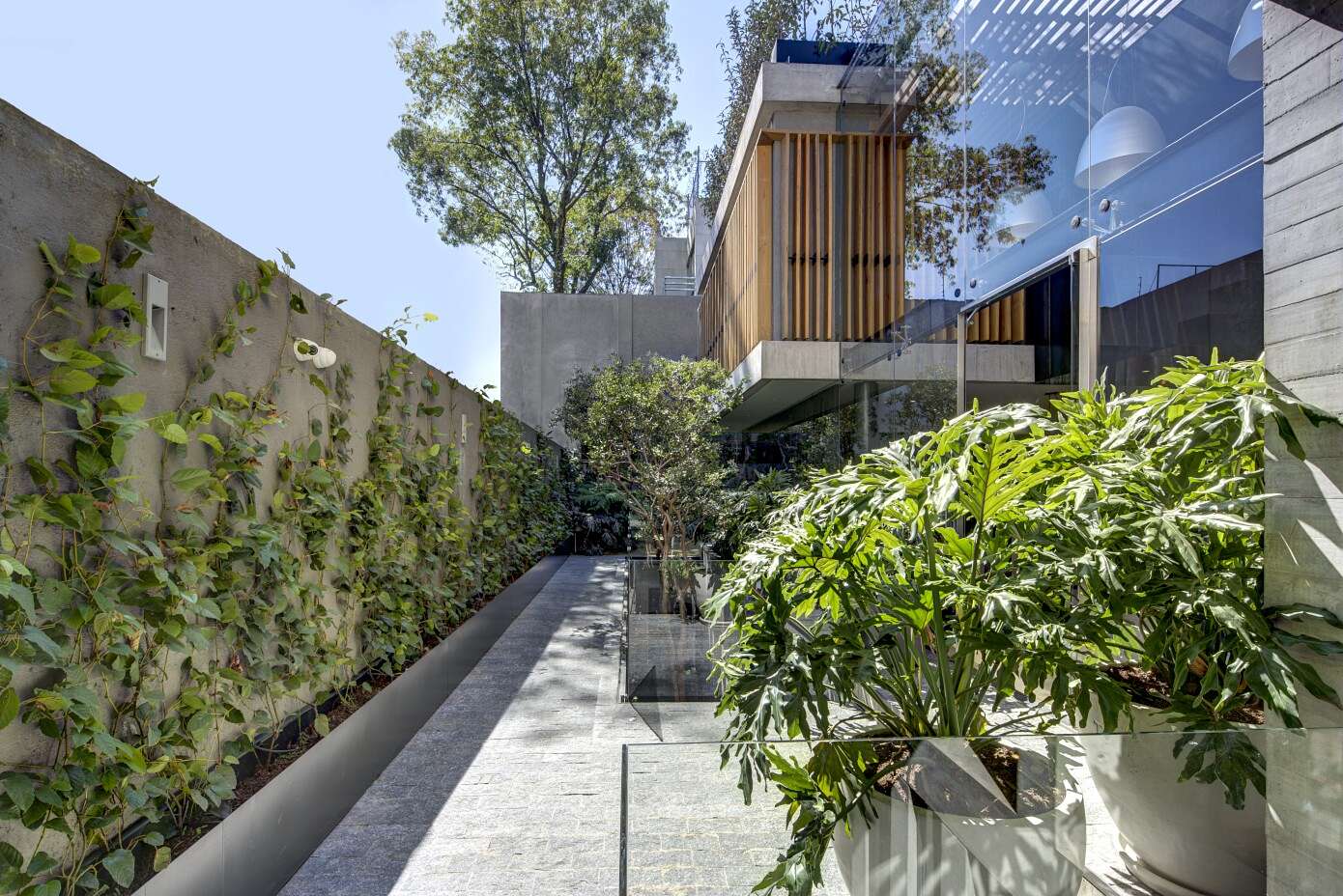 Bacatete House by RIMA Arquitectura
