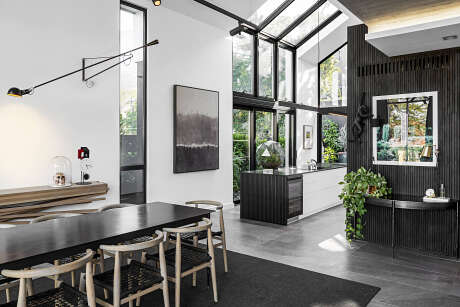 House SM 37 by Renato Graca - 6