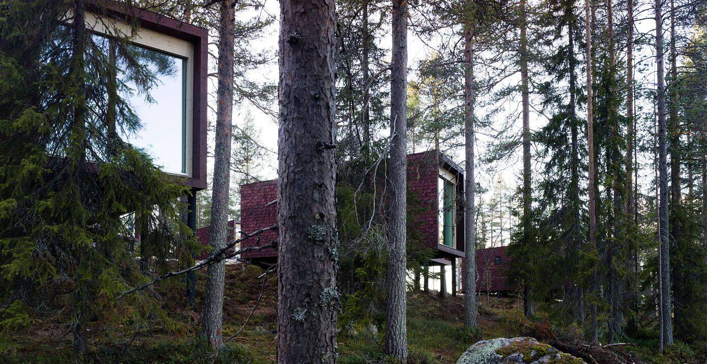 Arctic Treehouse Hotel by Studio Puisto Architects