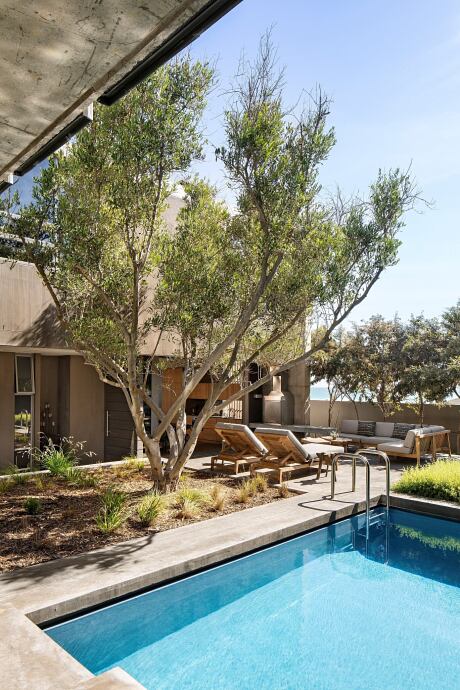 Olive Tree Villa by Gavin Maddock Design Studio - 9