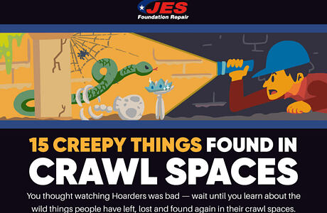 Crawl Space Problems: The Creepiest Things That Might Be Under Your Home