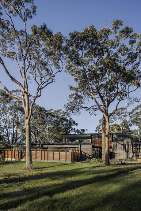 A modern, wooden-clad house nestled among towering eucalyptus trees in a lush, grassy landscape.