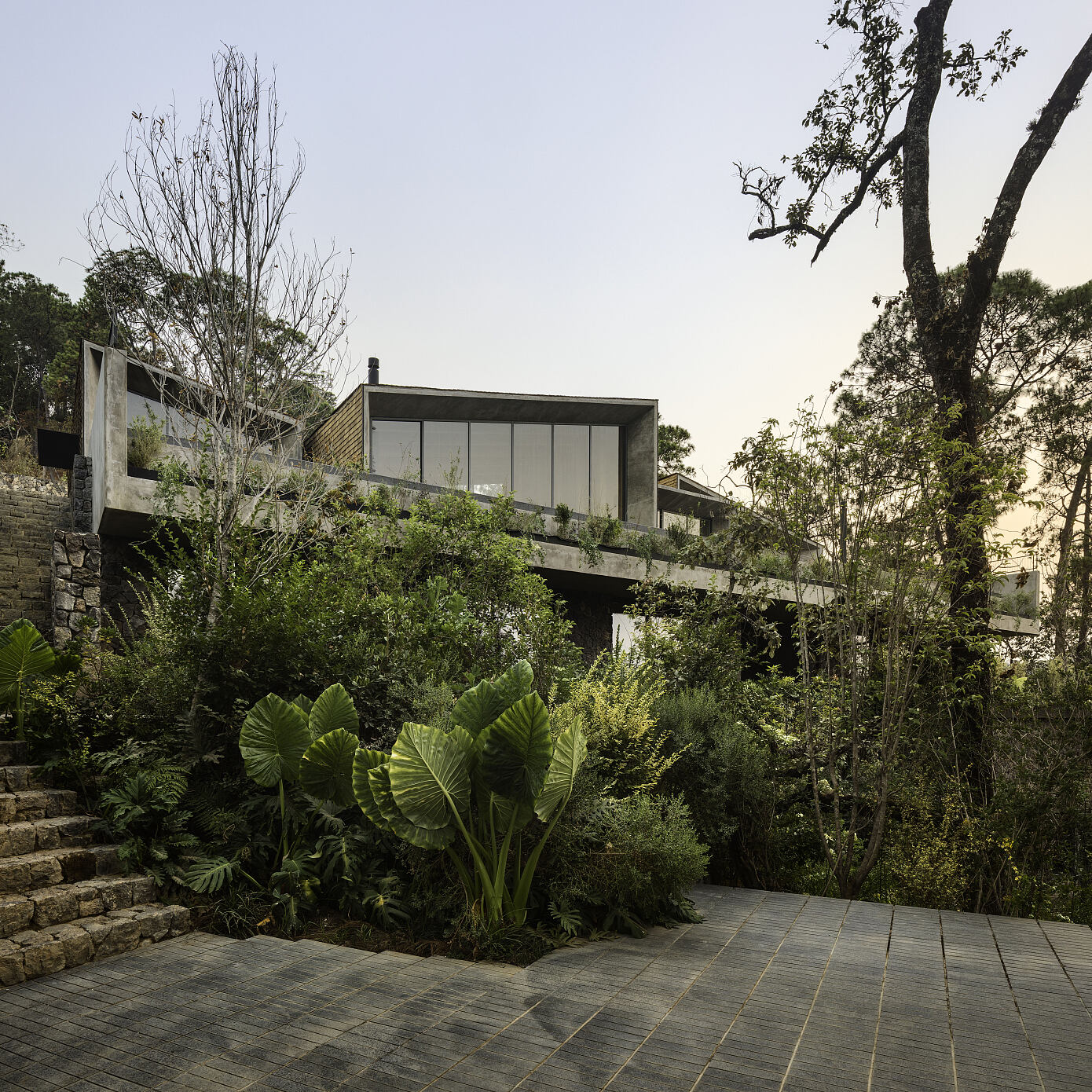 Izar Houses by Taller ADG