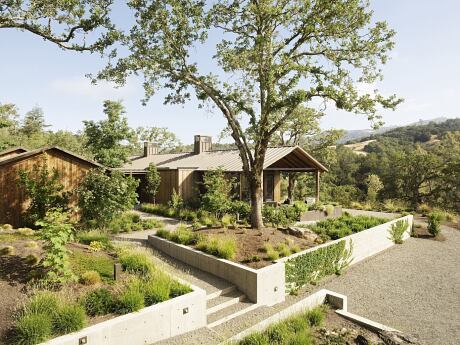 Blue Oaks by Richard Beard Architects - 1