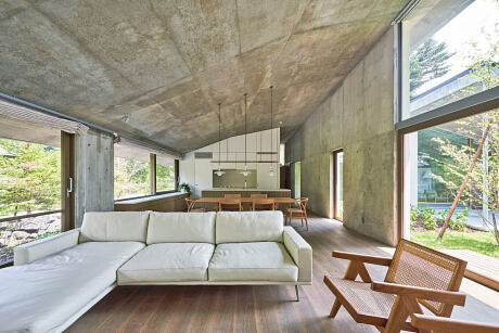 Symbiotic House by R.E.A.D. & Architects - 1