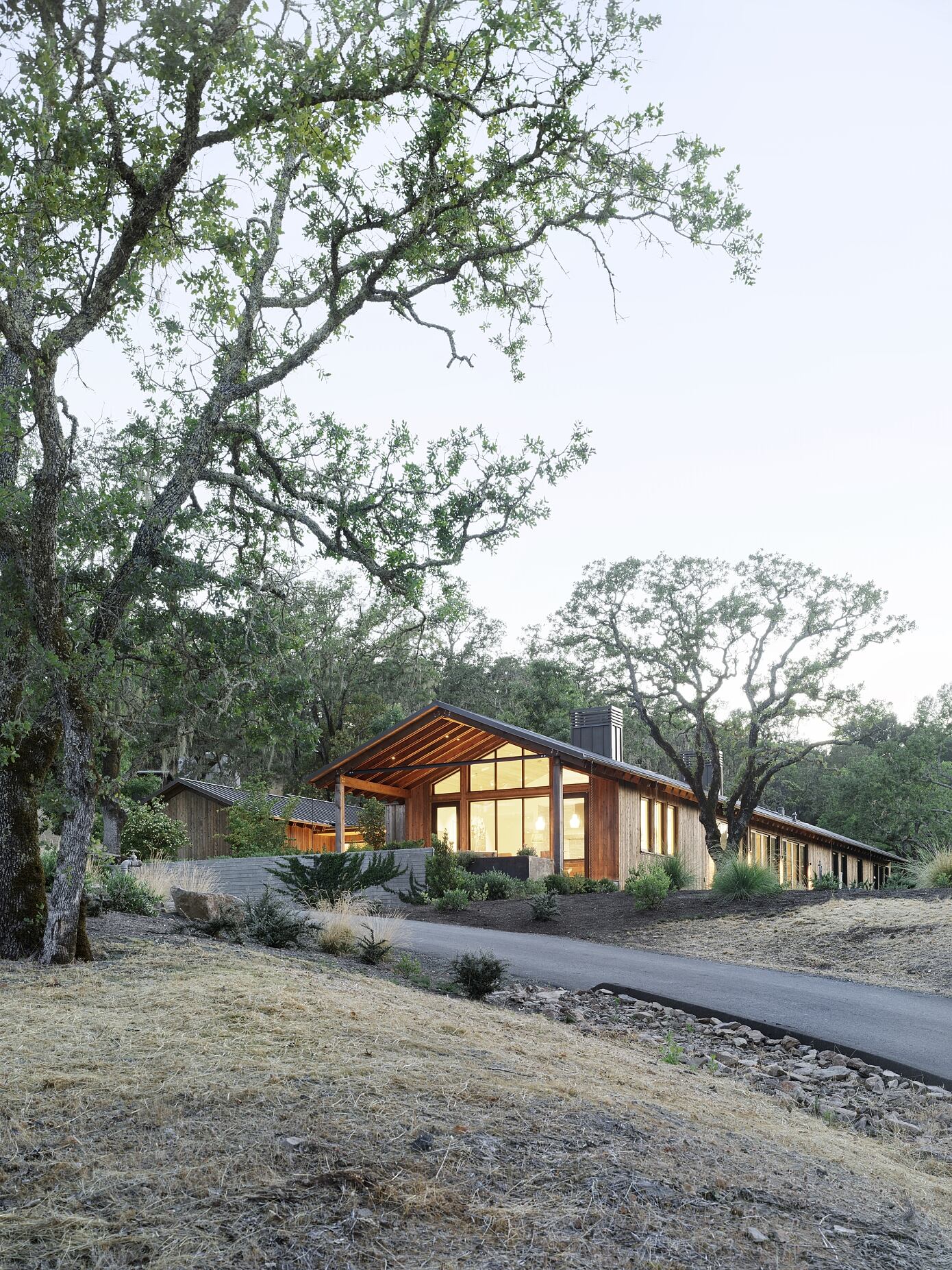 Blue Oaks by Richard Beard Architects