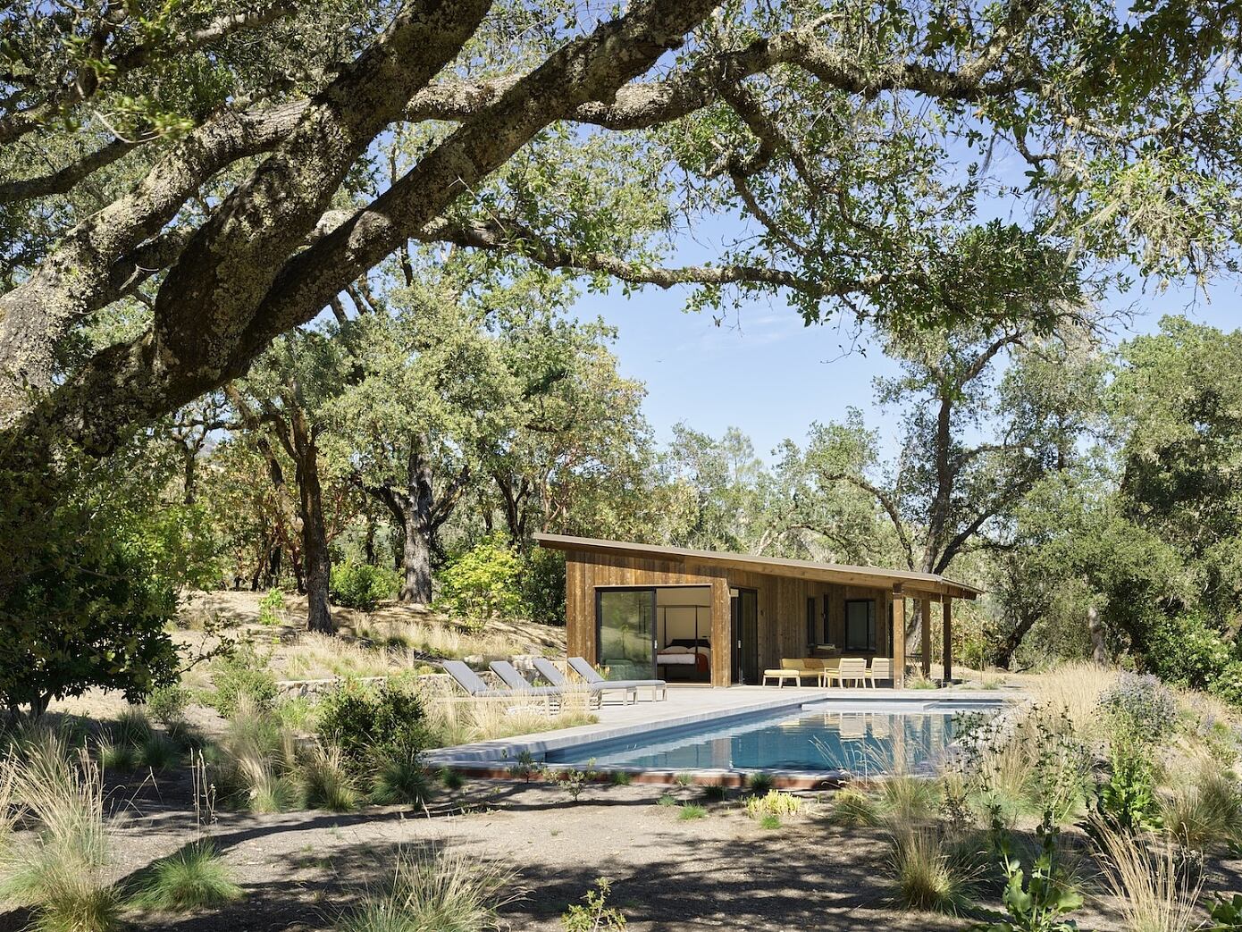 Blue Oaks by Richard Beard Architects