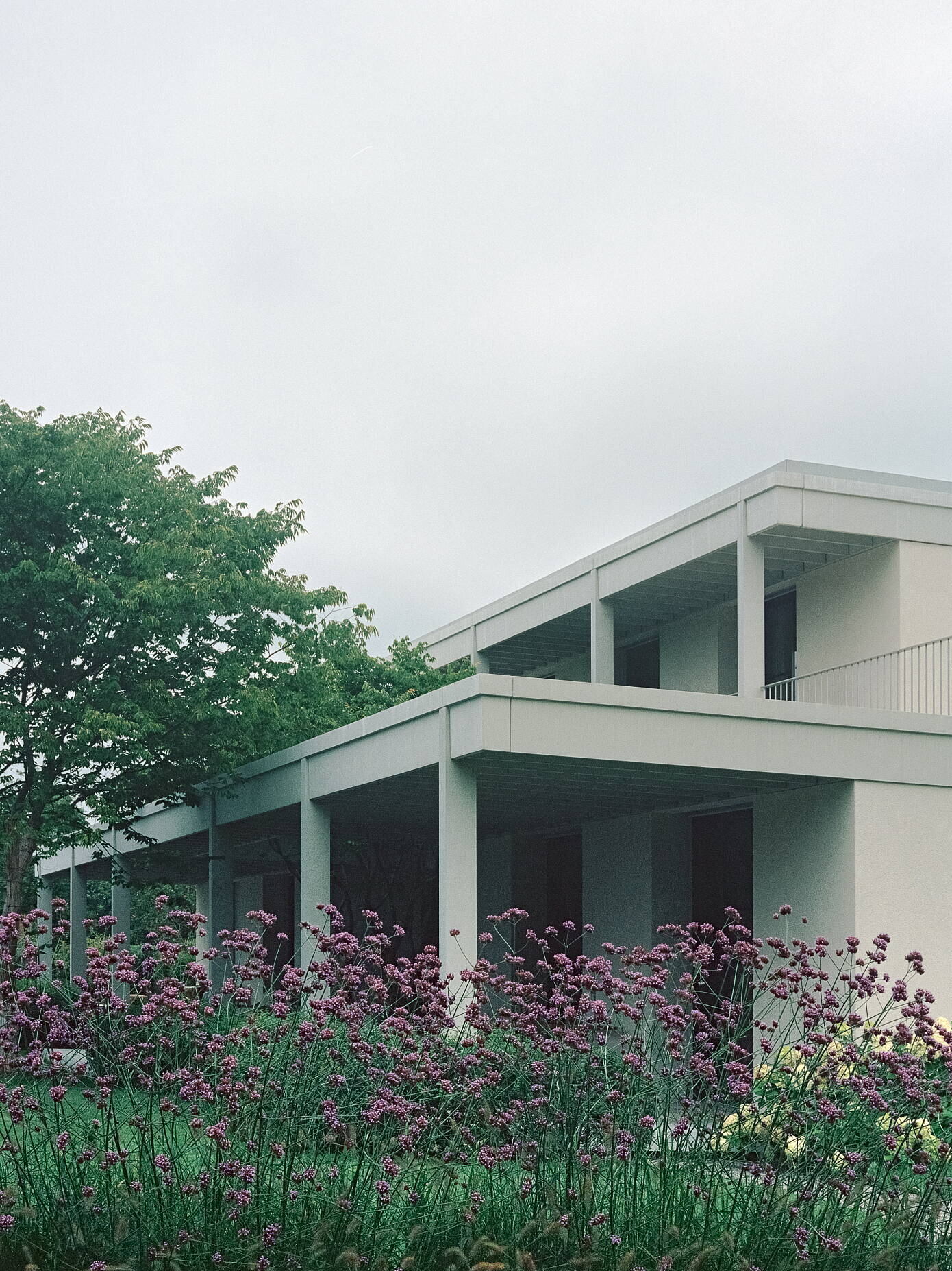 House at a Vineyard by Think Architecture