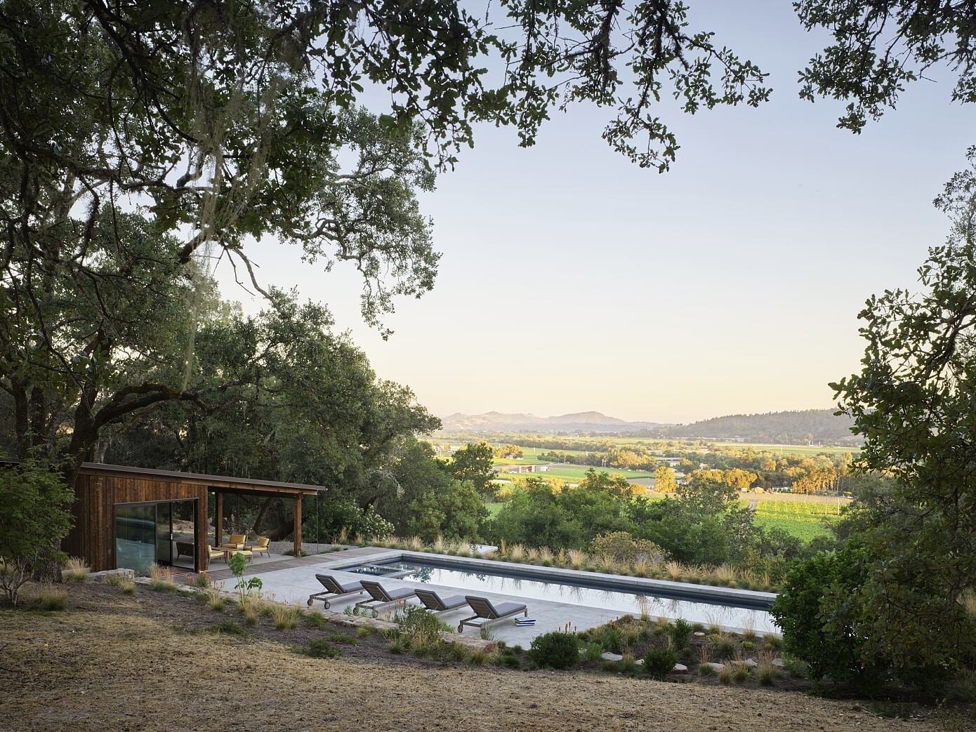 Blue Oaks by Richard Beard Architects