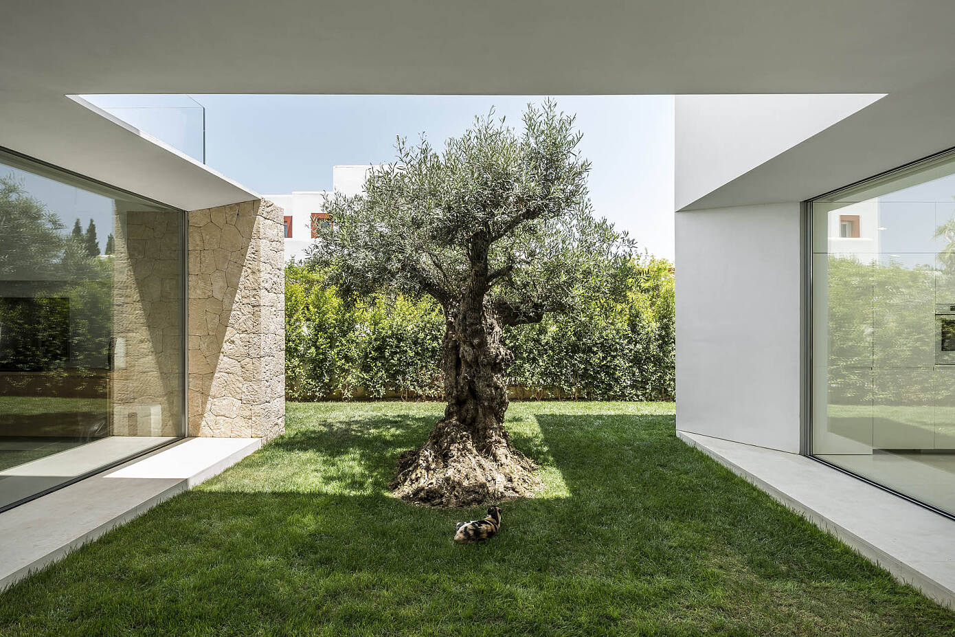 Three Trees House by Gallardo Llopis Arquitectos