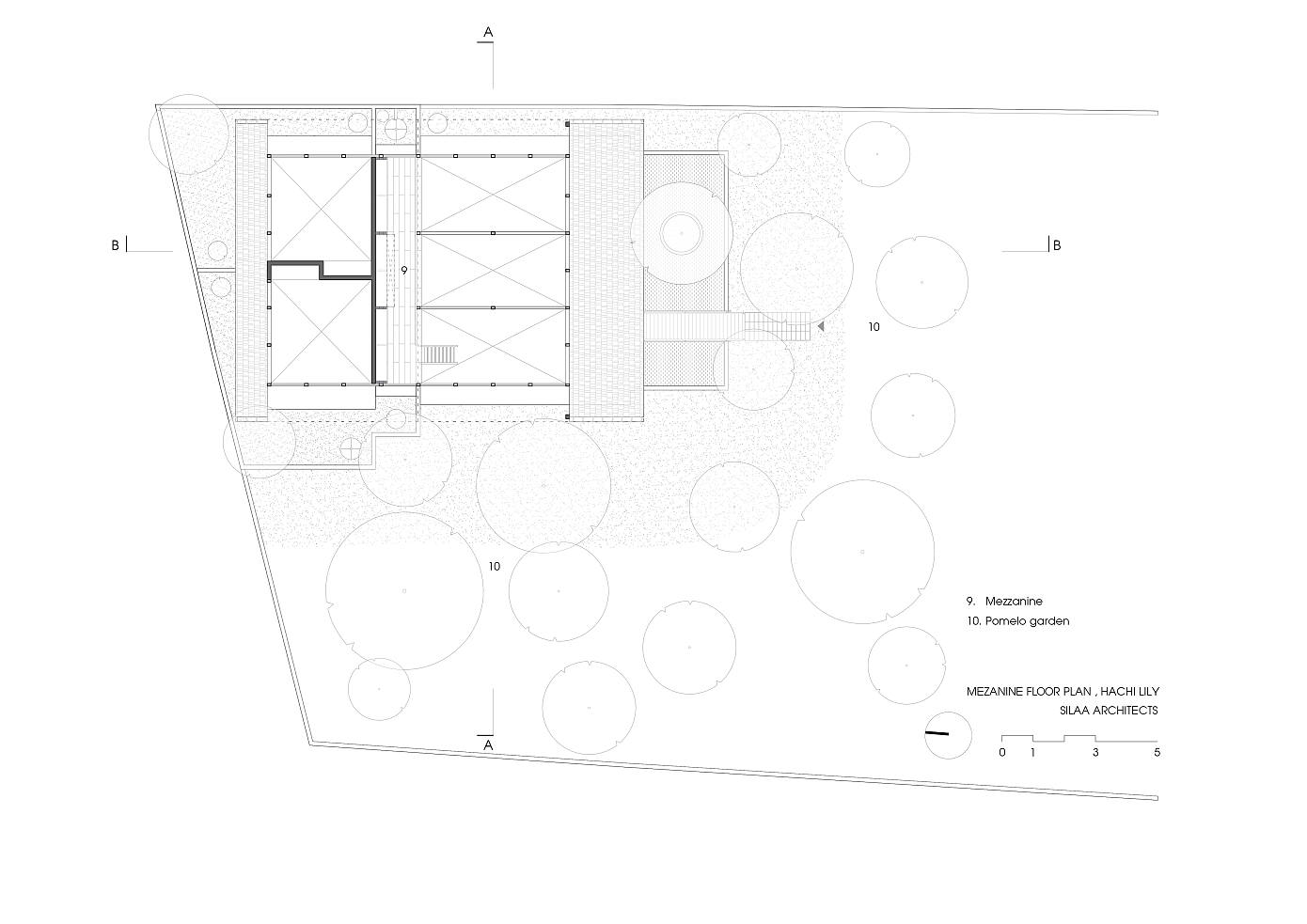 Hachi Lily House by Silaa