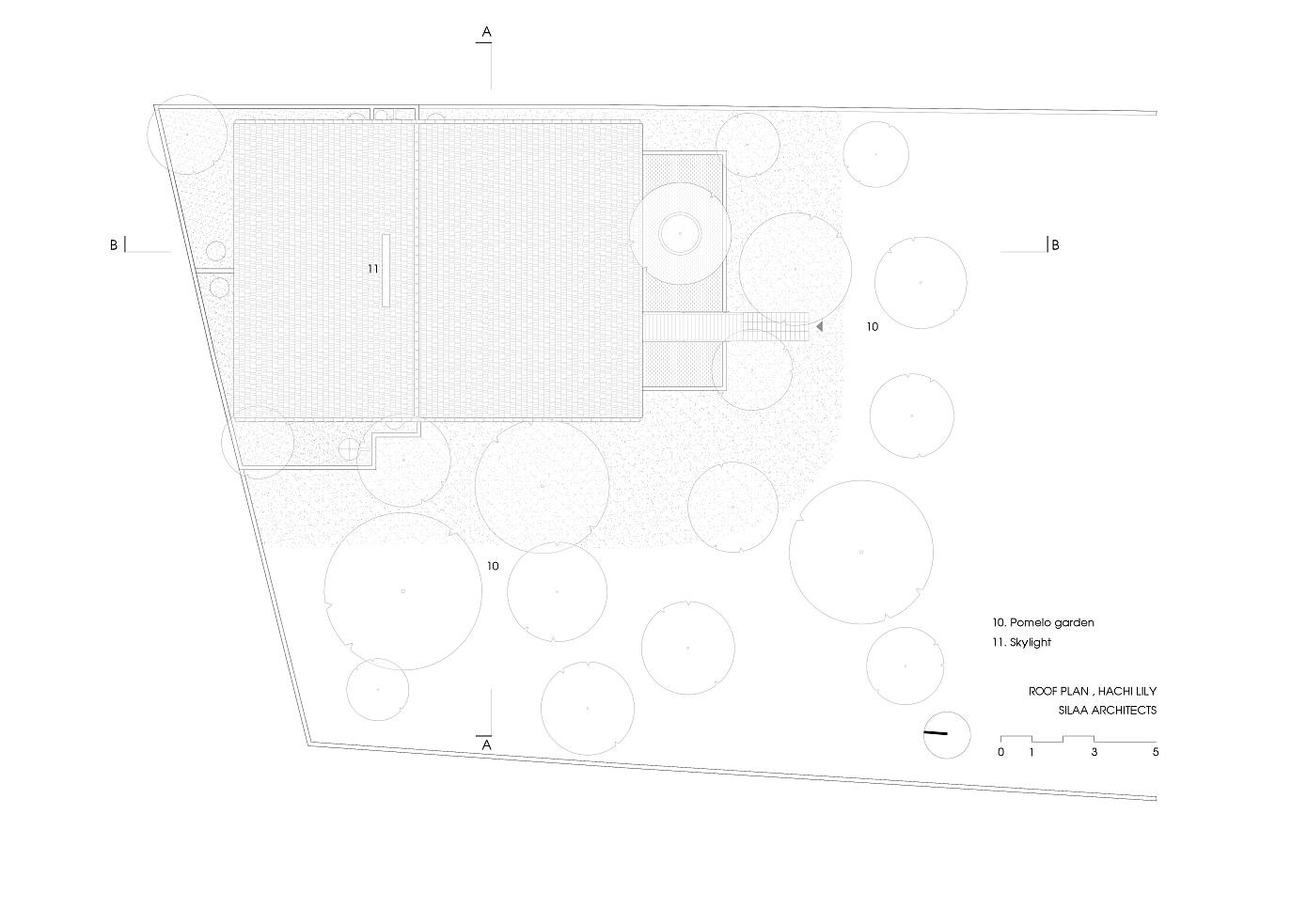 Hachi Lily House by Silaa
