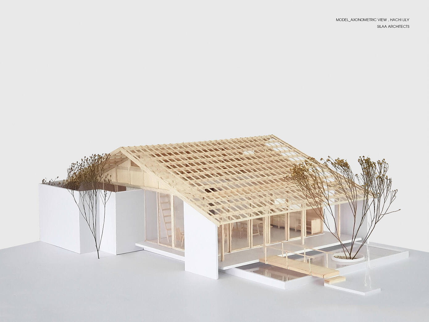 Hachi Lily House by Silaa