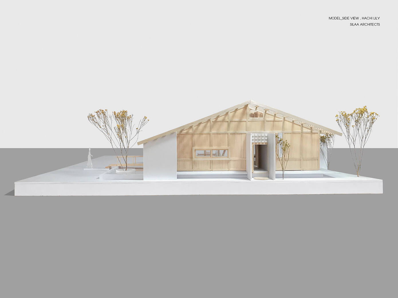 Hachi Lily House by Silaa