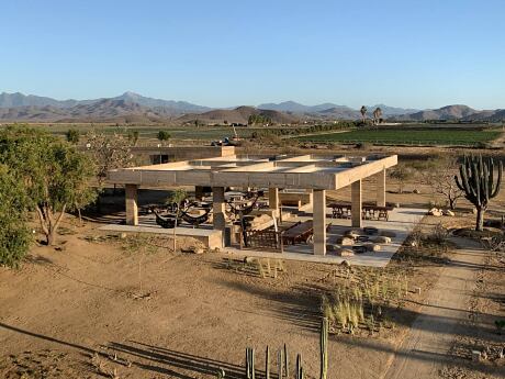 A modern desert-inspired pavilion structure, with exposed concrete, large windows, and shaded seating areas.