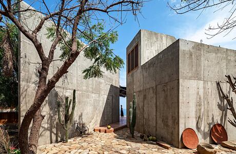 The Toad House by Espacio 18 Arquitectura