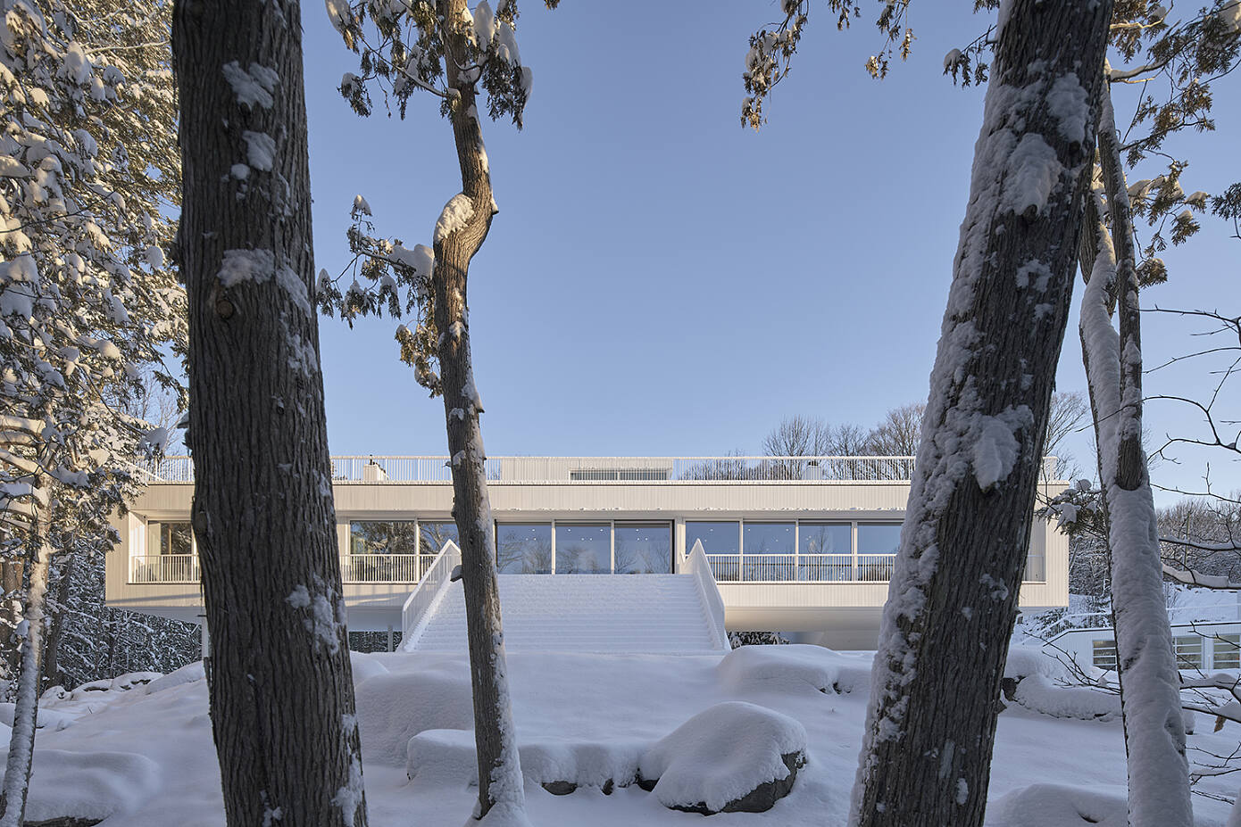 003-lily-pad-saunders-architecture