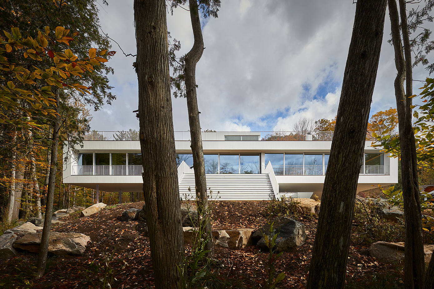 005-lily-pad-saunders-architecture