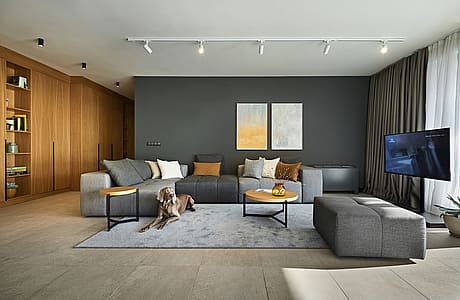Apartment with a Dog by Fimera Design Studio