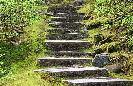 Weathered stone steps leading up a lush, moss-covered forest path.