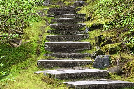 Weathered stone steps leading up a lush, moss-covered forest path.