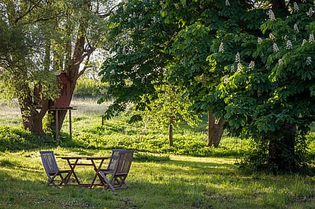 Cozy outdoor seating under a canopy of lush greenery, with a wooden birdhouse visible.