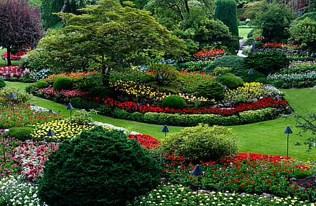 Building Beauty: Natural Landscaping Methods for Controlling Weed Growth