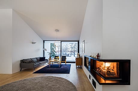 Pokrinniemi by Avanto Architects - 3