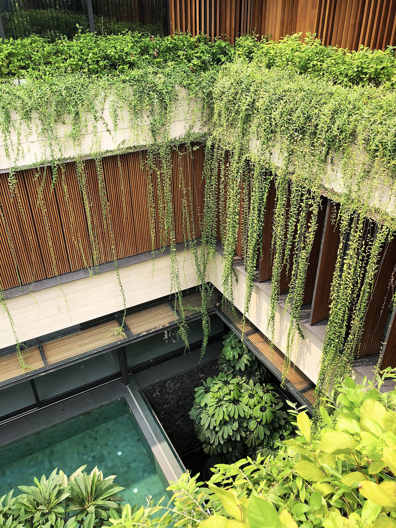 Water Garden House by Wallflower Architecture + Design