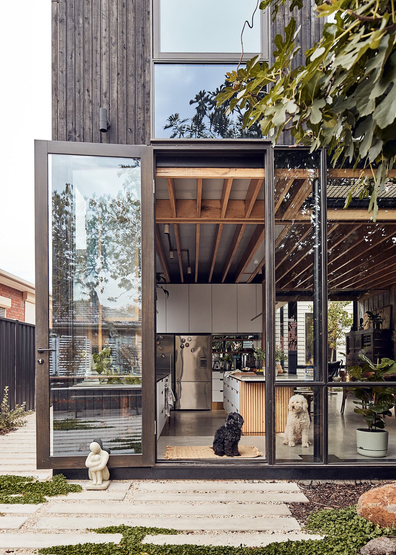 Harry House by Archier