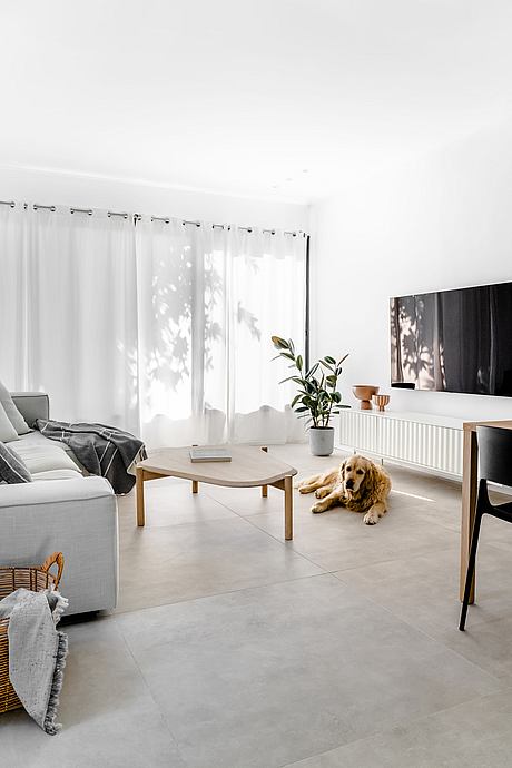 Y&Y Bazra by Adi Shaked - 2