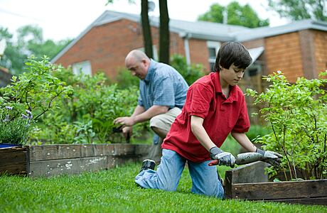 Useful Tips to Help You Transform Your Garden